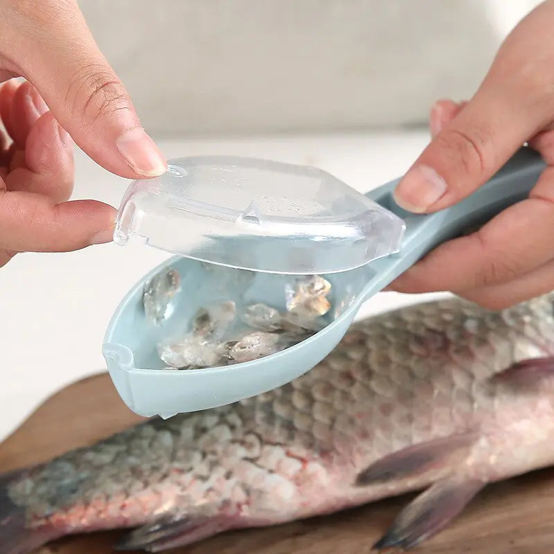 Portable Fish Scale Scraper