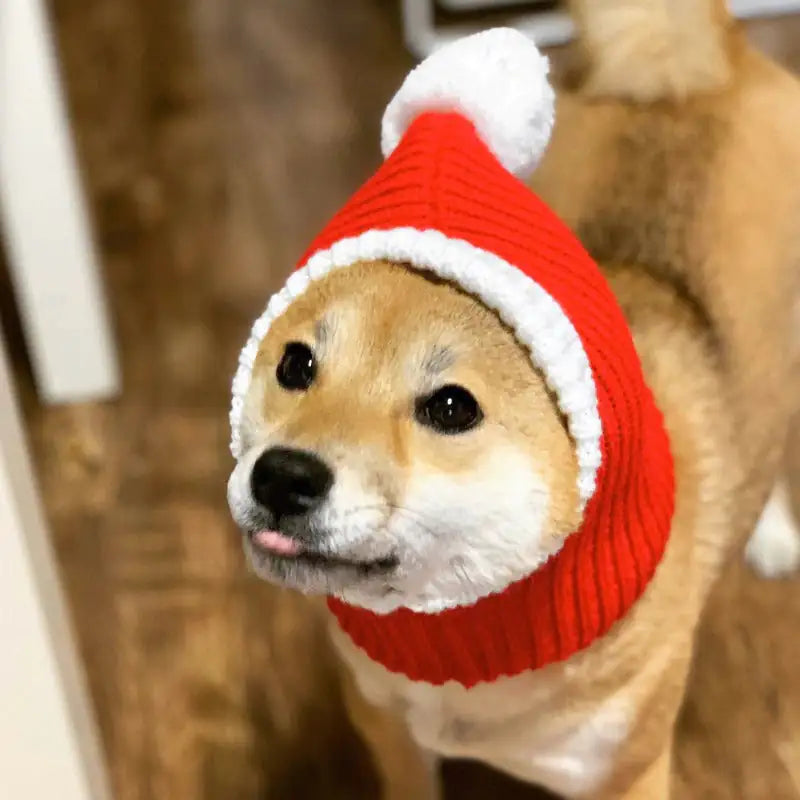 Winter Pet Hat Christmas Warmer