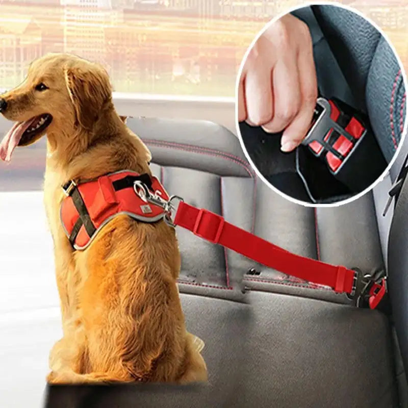 Telescopic Traction Rope For Pet, Car Seat Belt