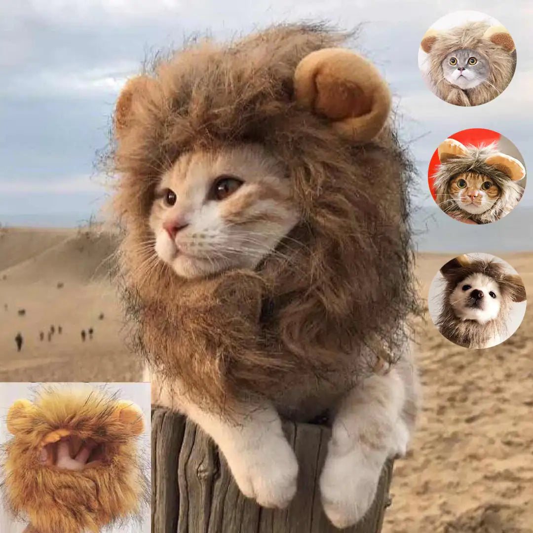 Lion Mane Pet Costume