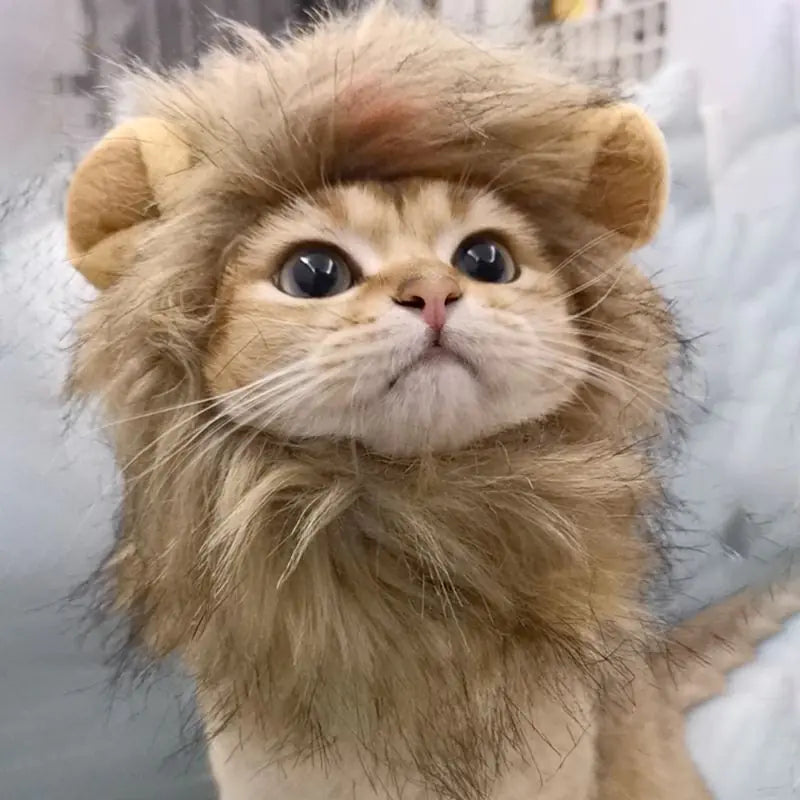 Lion Mane Pet Costume