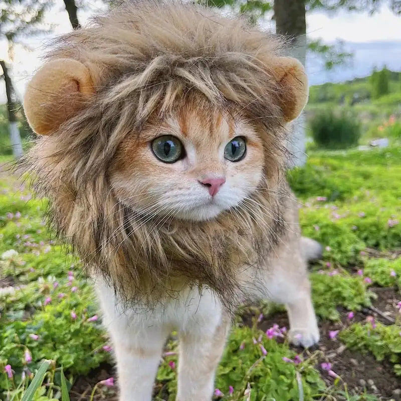 Lion Mane Pet Costume