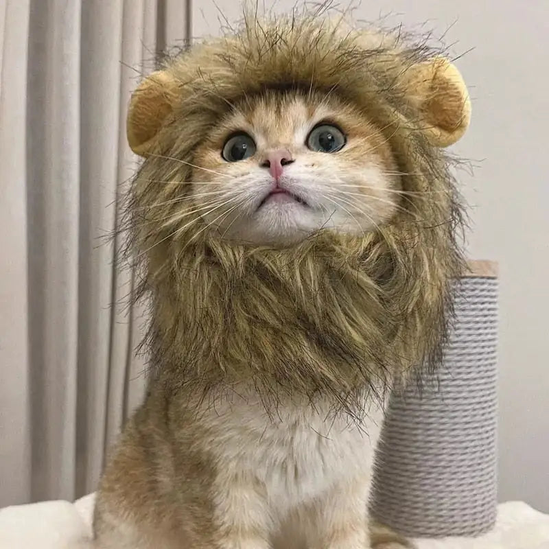 Lion Mane Pet Costume