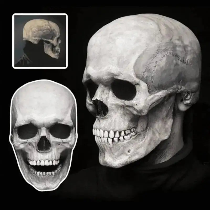 Human Skeleton Mask For Halloween